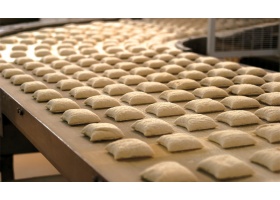 Dough Processing 