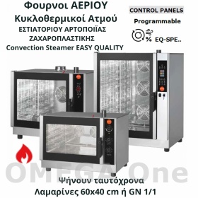 EASY QUALITY Gastronorm and Bakery GN Gas Convection Steam Oven 