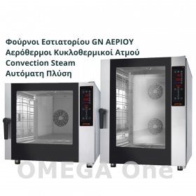PLUS GASTRO GN Gas Convection Steam Ovens
